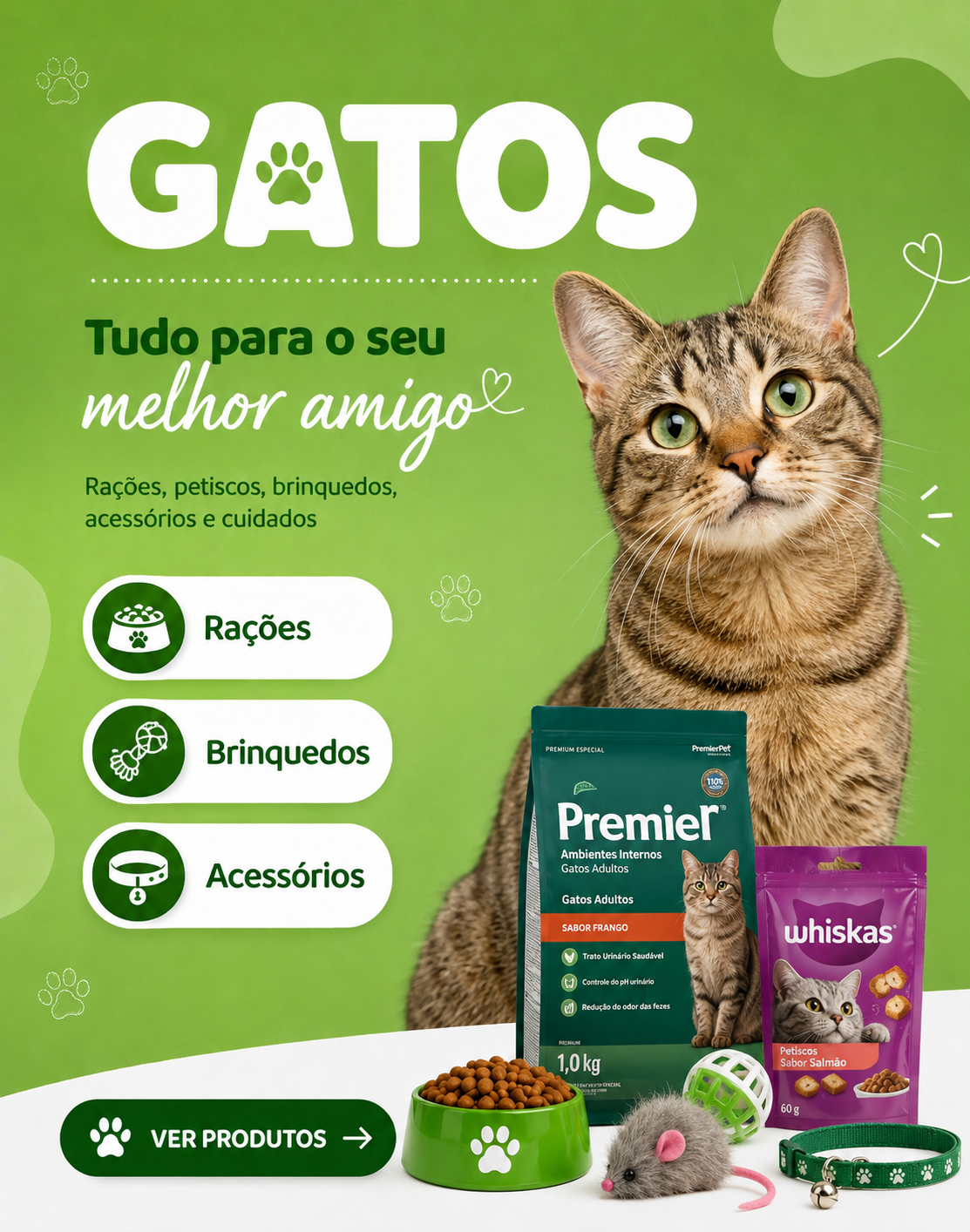 categoria-gatos